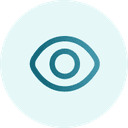 Vision icon